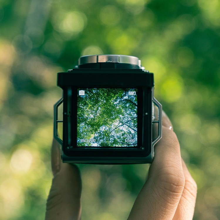 Vintage Camera - Mini and Digital Format
